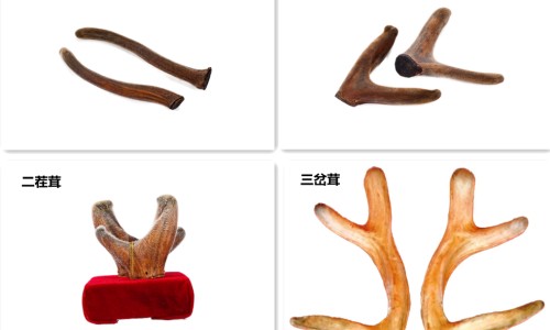 阿达帕林凝胶危害-阿达帕林凝胶有什么不良反应-阿达帕林凝胶副作用大吗,中国阿达帕林凝胶会有副作用吗网站