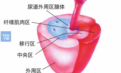 阿达帕林凝胶有什么不良反应-阿达帕林凝胶副作用大吗,中国阿达帕林凝胶会有副作用吗网站